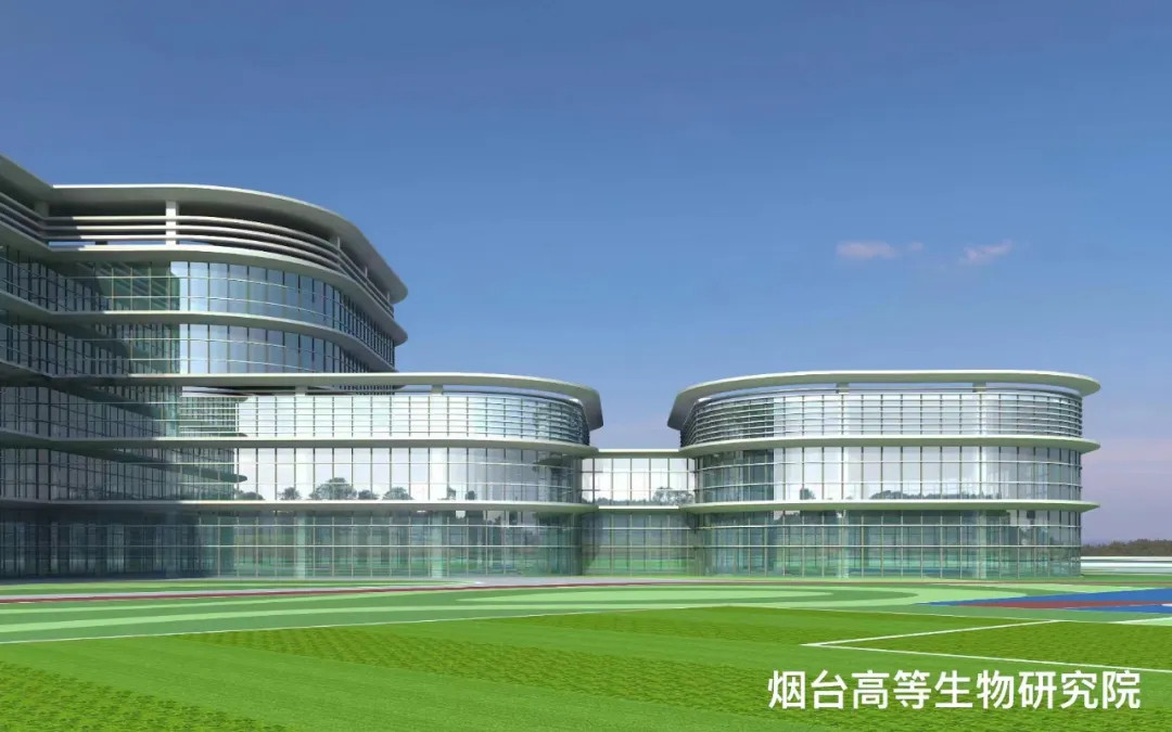 大跨度 高精度 超節(jié)能|鳳鋁助力菸臺(tái)城市更新，展登州新貌